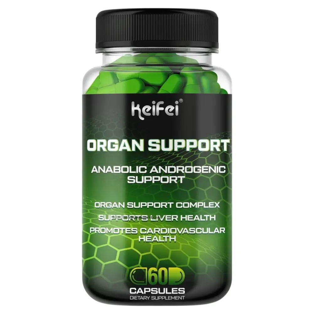 IMG_8711 ORGAN SUPPORT - الصورة 1